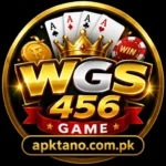 WGS456 Game