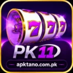 PK11 Game